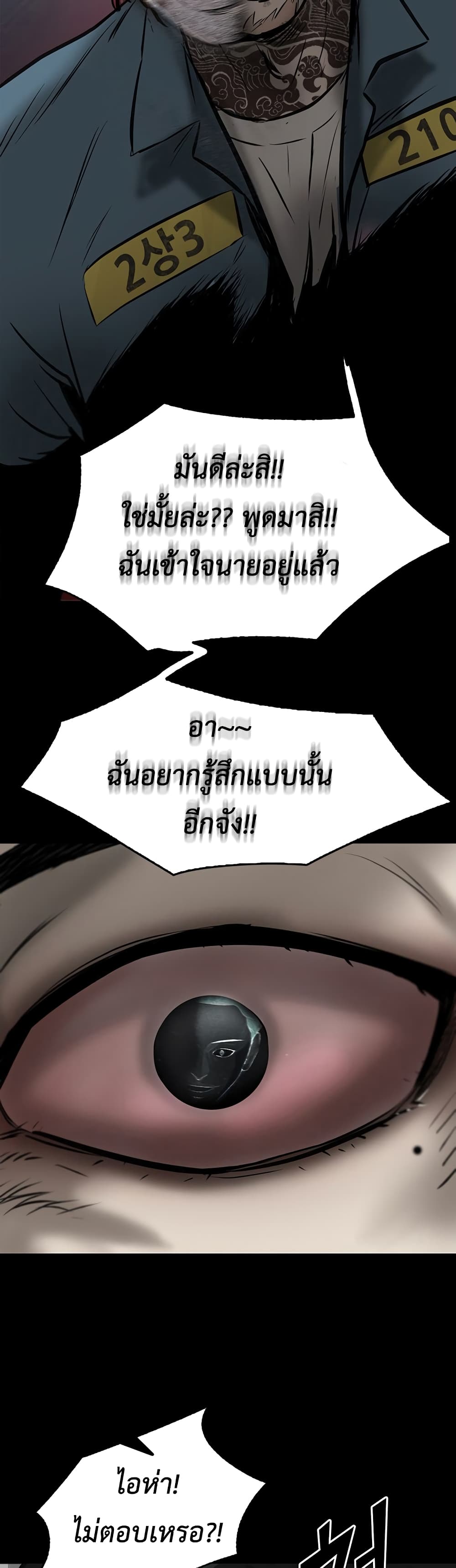 Mujin 2-2