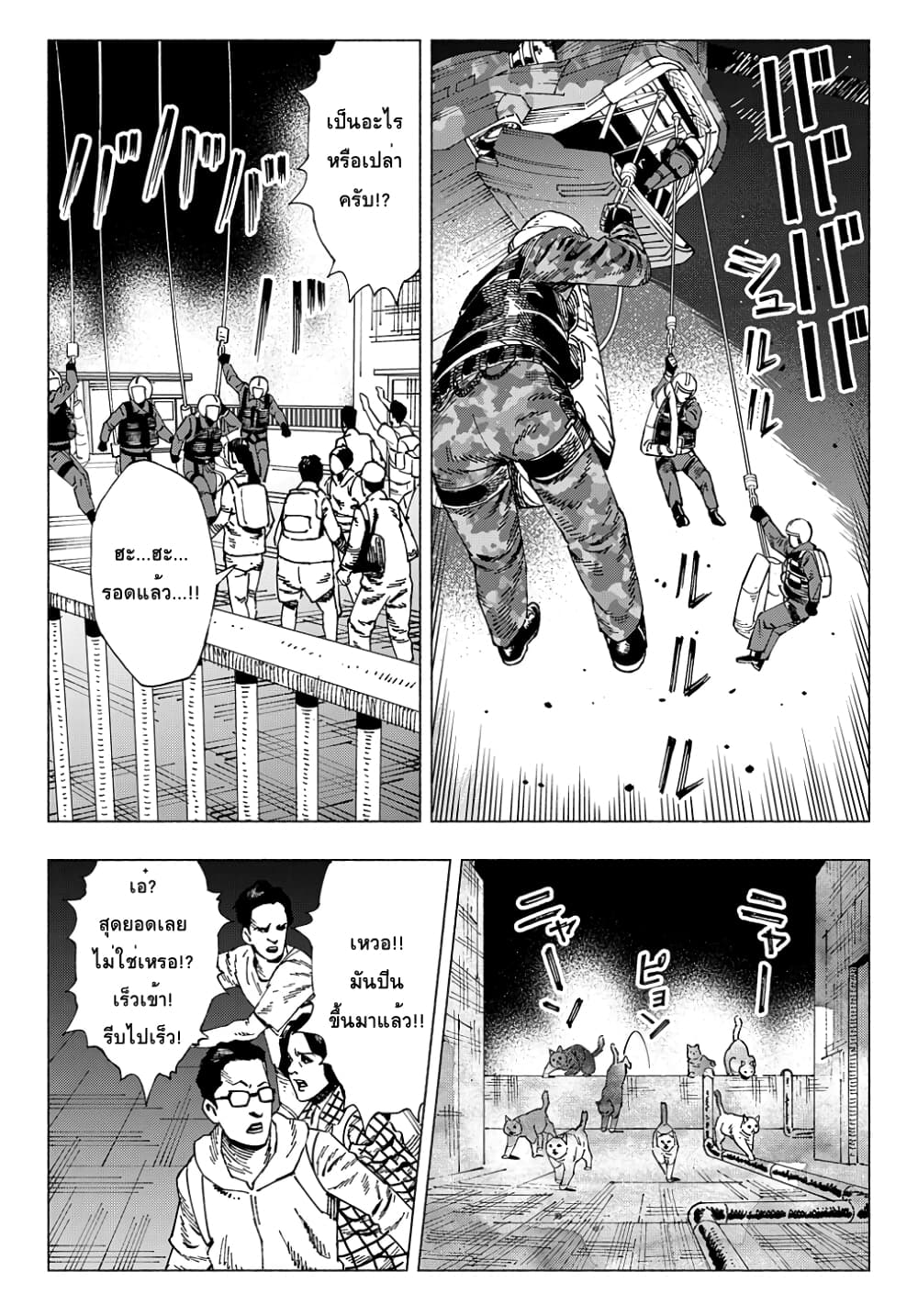 Nyaight of the Living Cat ซอมบี้เหมียวครองโลก! 5.3-Cat Star Nocturne (ภาคปลาย)