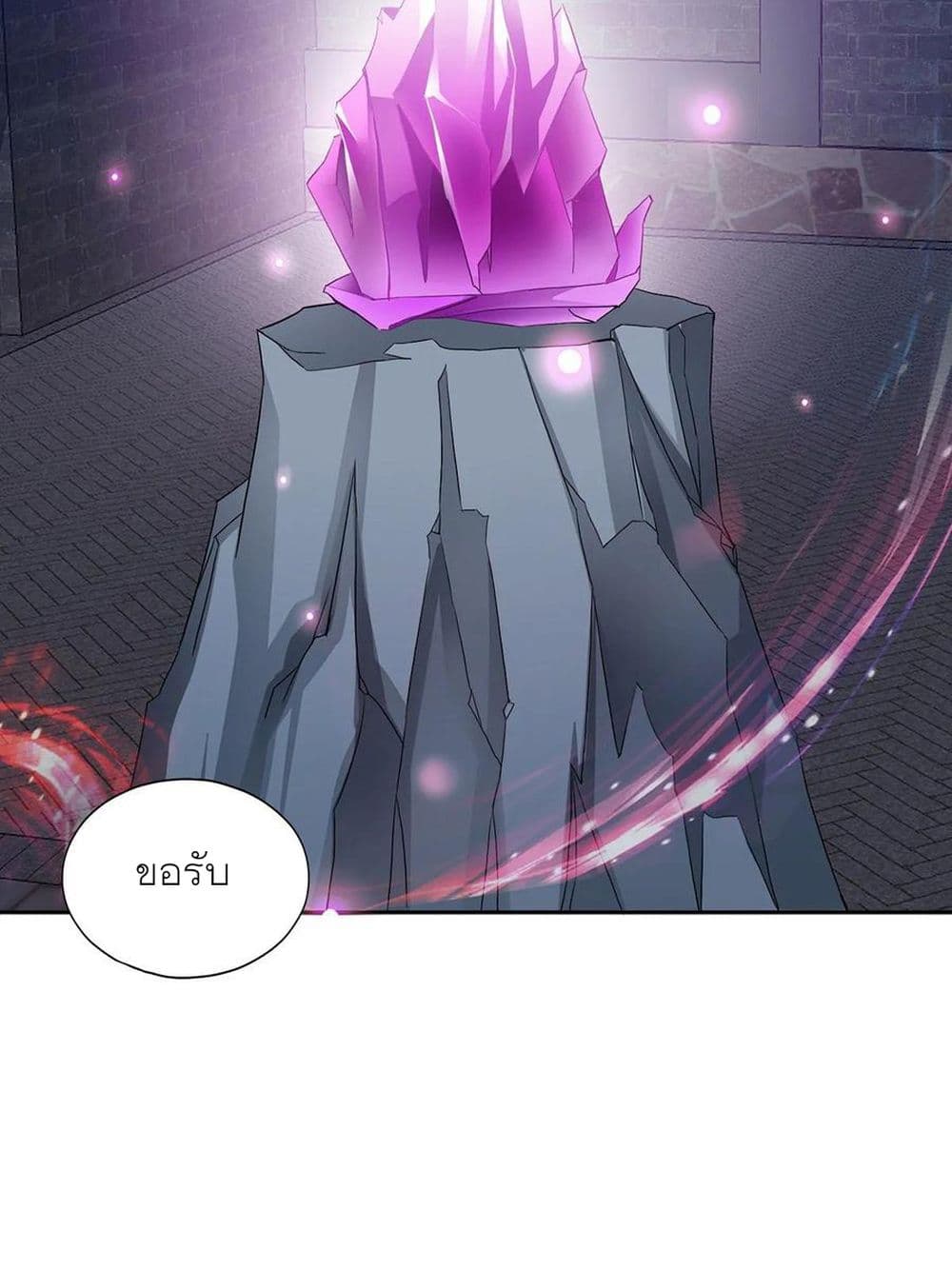 Nine Stars Overlord Body 11-11
