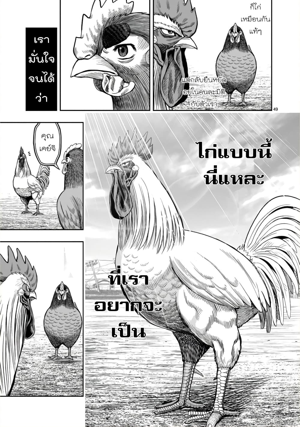 Rooster Fighter ป๋าโต้งชนยับ 11-พอล่าไก่เสร็จ ธนูก็สิ้นค่า (คนที่คอยโหมงาน กลับถูกทิ้งในตอนจบ