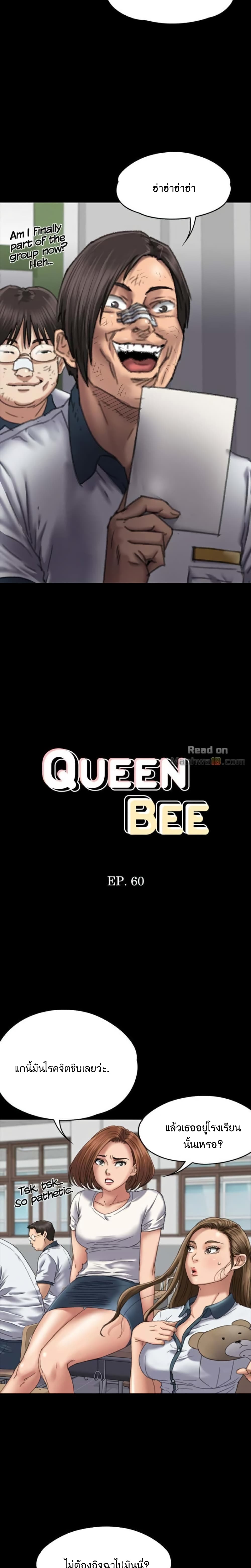 Queen Bee 60-60