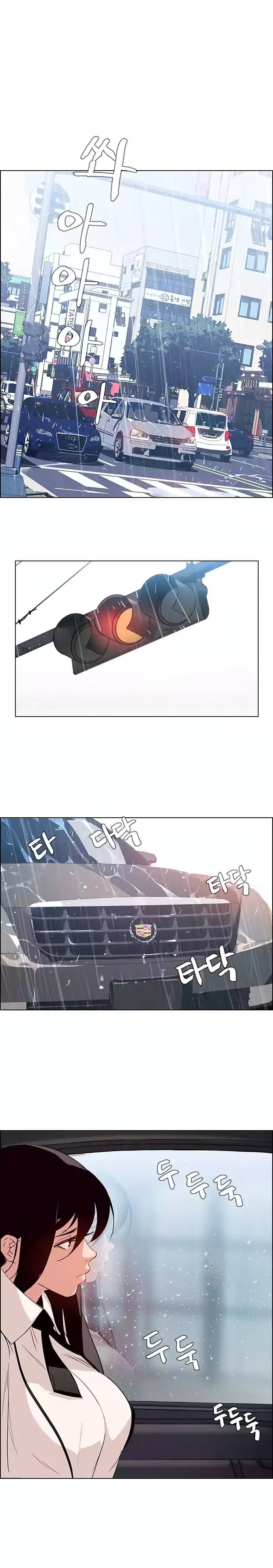 Rain Curtain 1-1