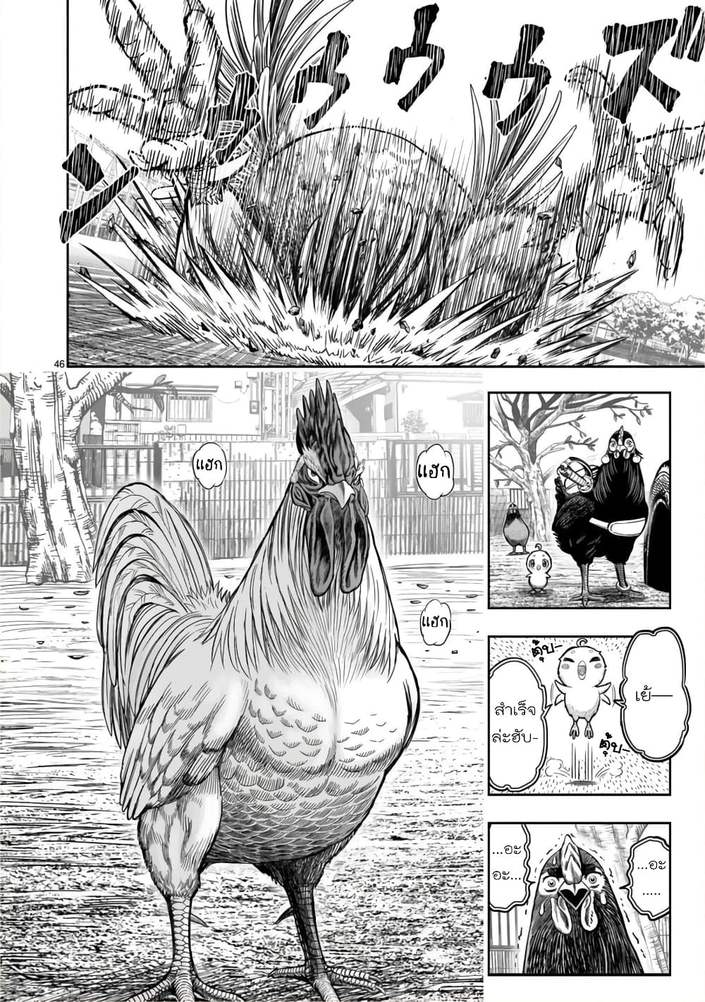 Rooster Fighter ป๋าโต้งชนยับ 11-พอล่าไก่เสร็จ ธนูก็สิ้นค่า (คนที่คอยโหมงาน กลับถูกทิ้งในตอนจบ