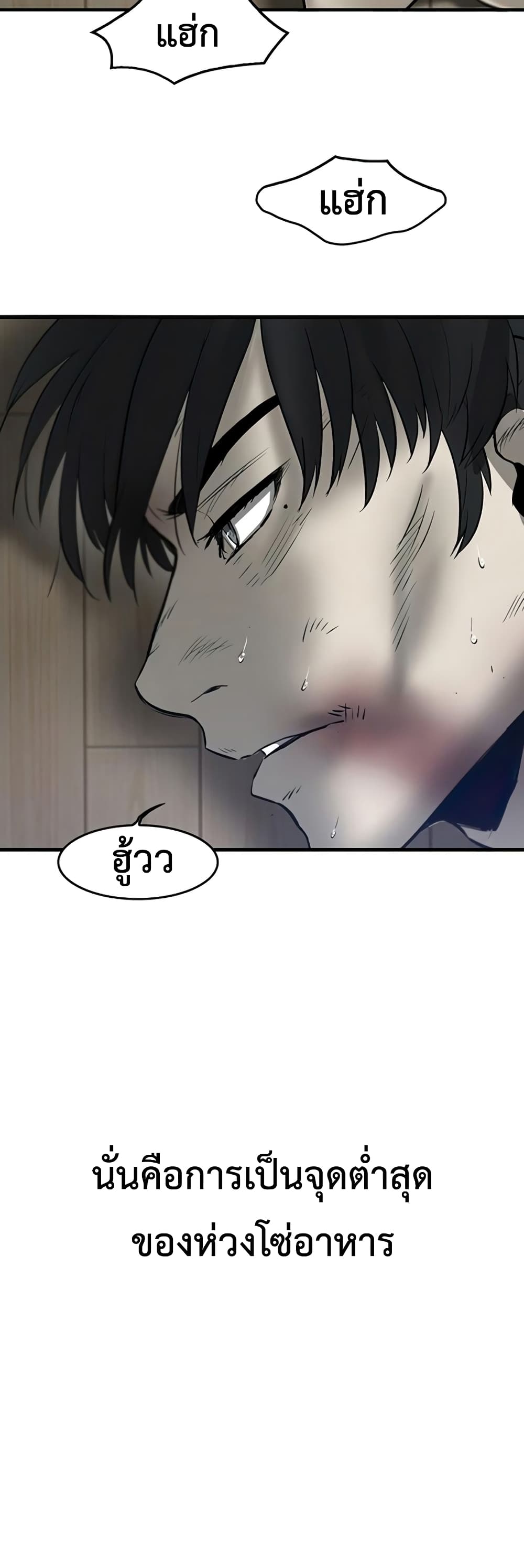 Mujin 3-3