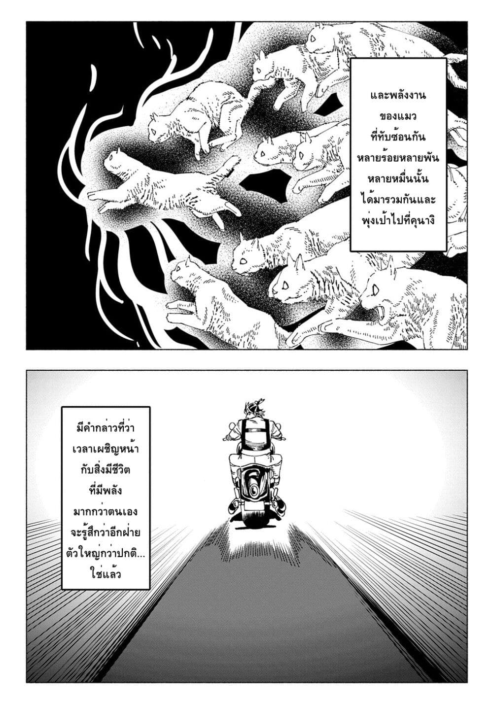 Nyaight of the Living Cat ซอมบี้เหมียวครองโลก! 6.1-แมวคือราชาของโลกที่ไร้เมตตา (ภาคต้น)