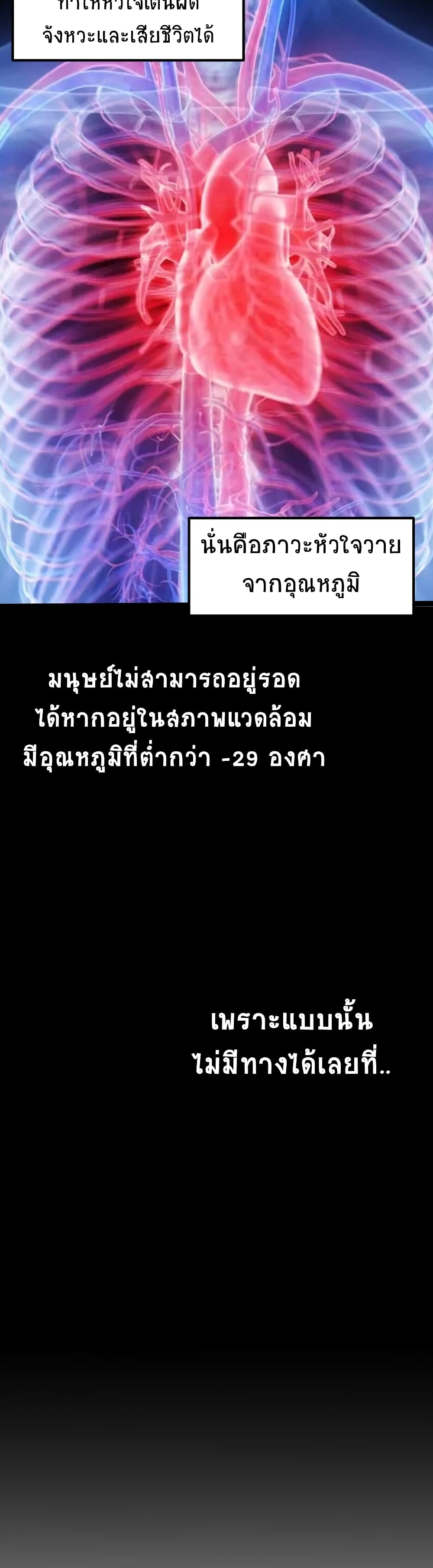 The King Of Snow 6-6