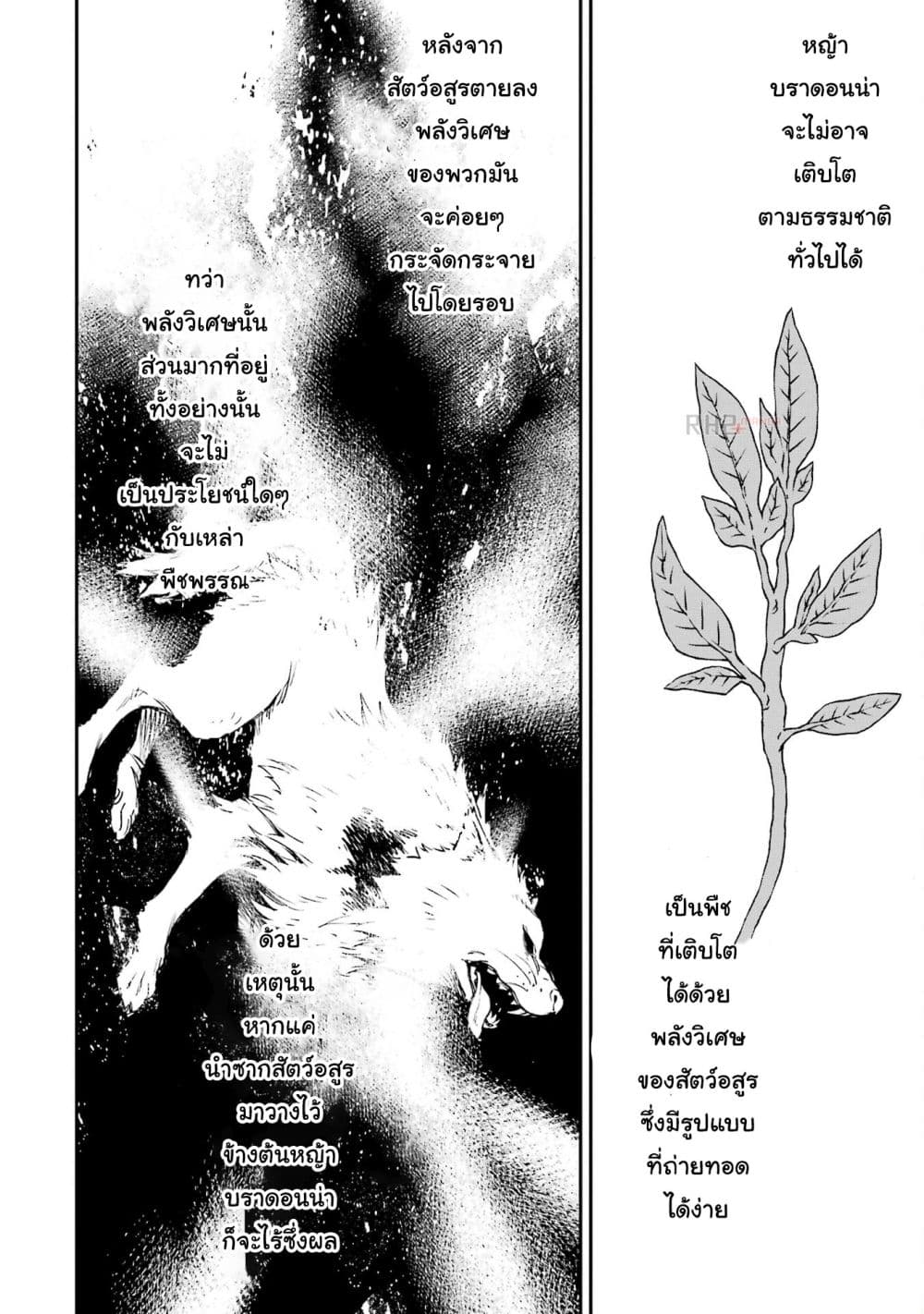 Different World Reincarnation as a Sage แกร่งเกมเกิดใหม่ไร้พ่ายไปเลือกปราชญ์ 21-มาสร้างสวนกัน
