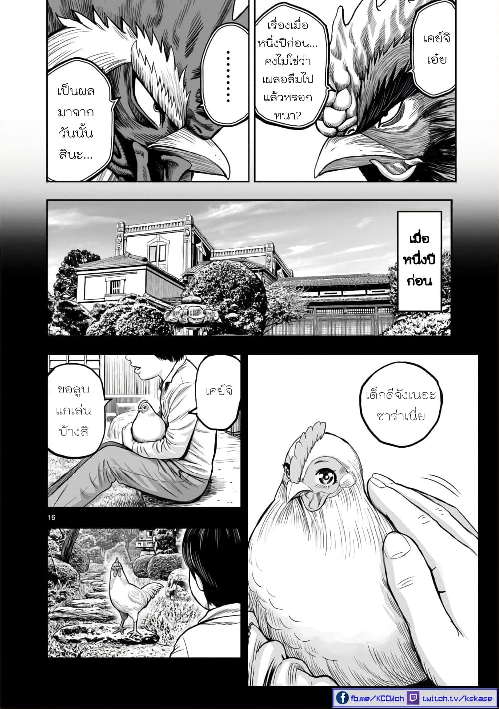 Rooster Fighter ป๋าโต้งชนยับ 11-พอล่าไก่เสร็จ ธนูก็สิ้นค่า (คนที่คอยโหมงาน กลับถูกทิ้งในตอนจบ