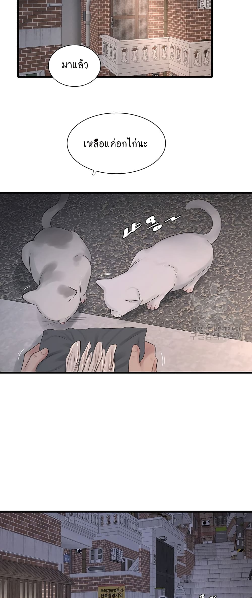 The Hole Diary 15-15