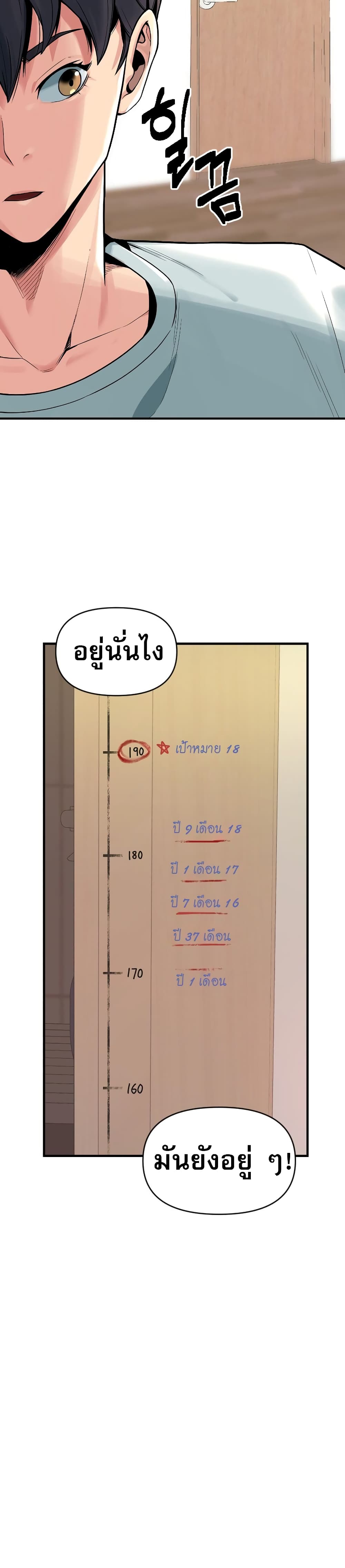 Y13 1-1