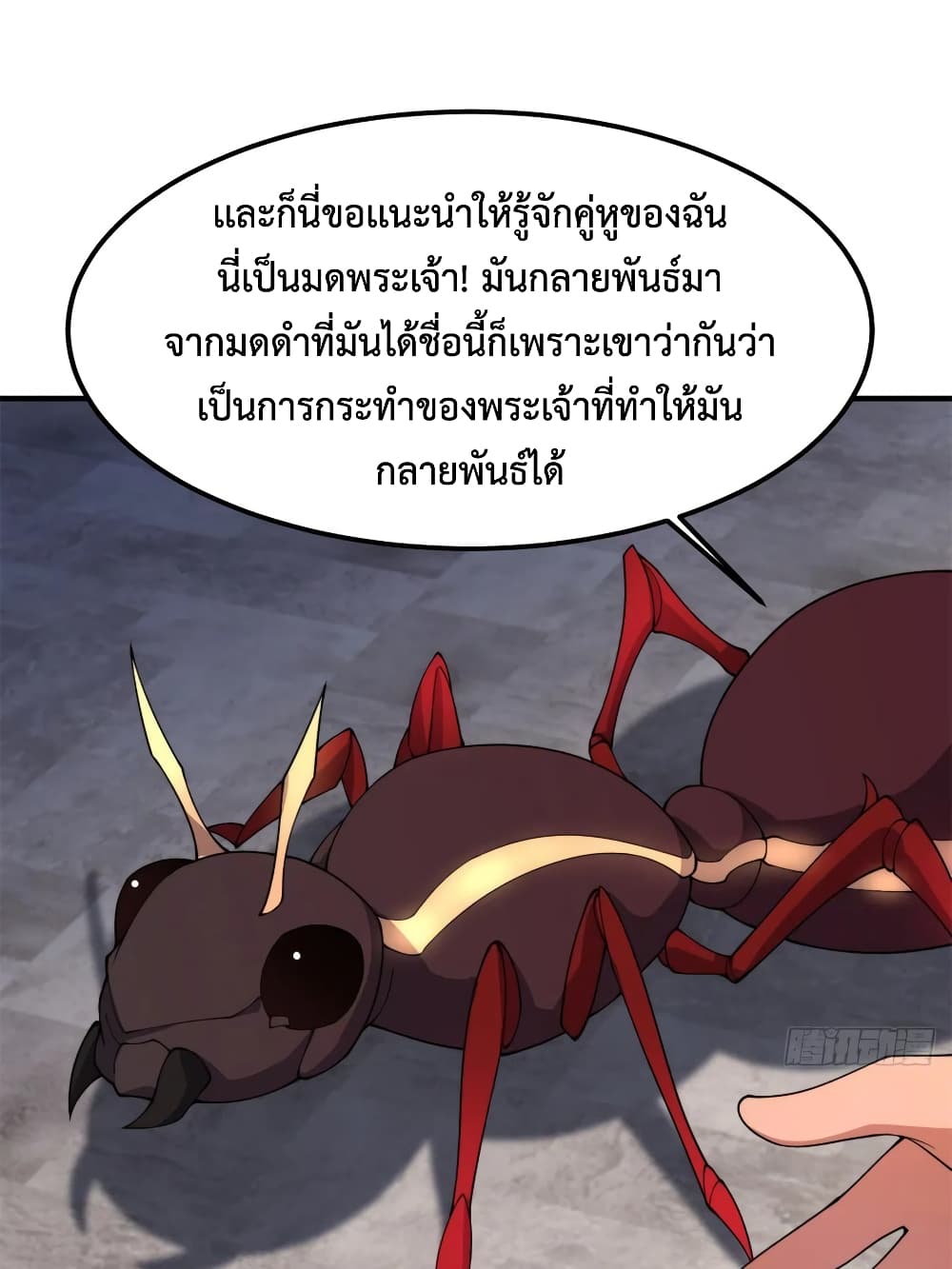 Monster Pet Evolution 65-65
