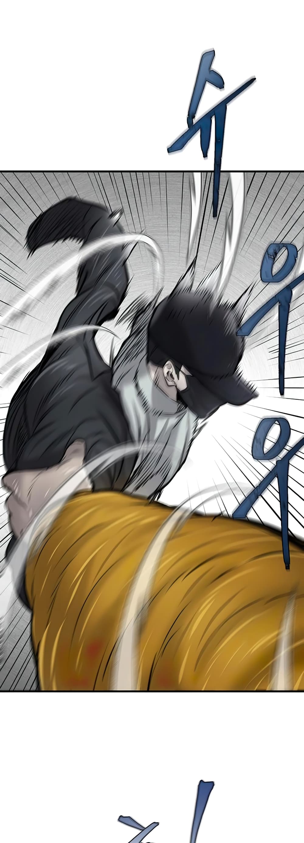 Mujin 9-9