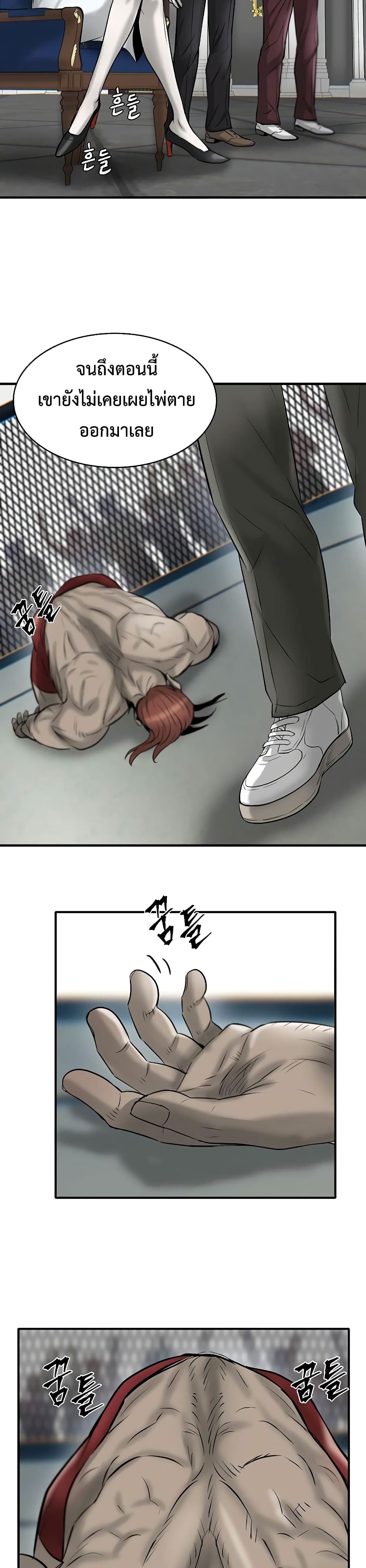 Mujin 13-13