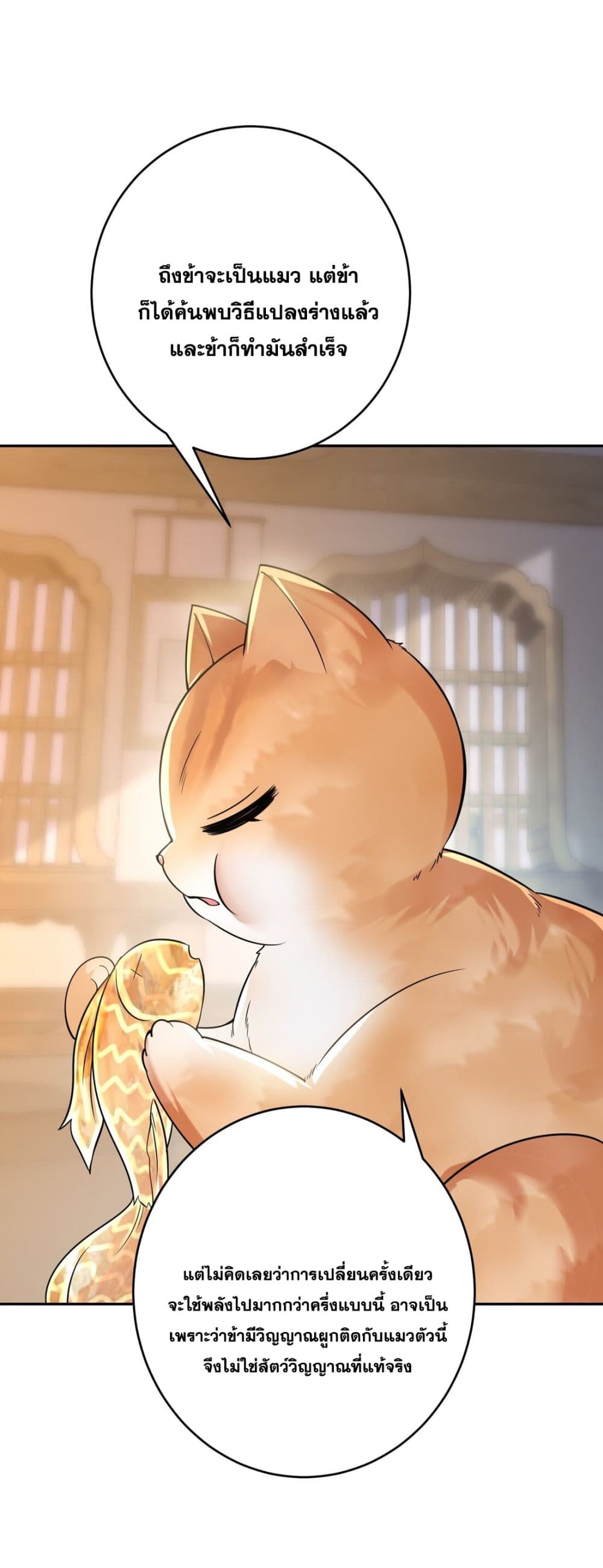God-level Contract Start With a Cat 12-12