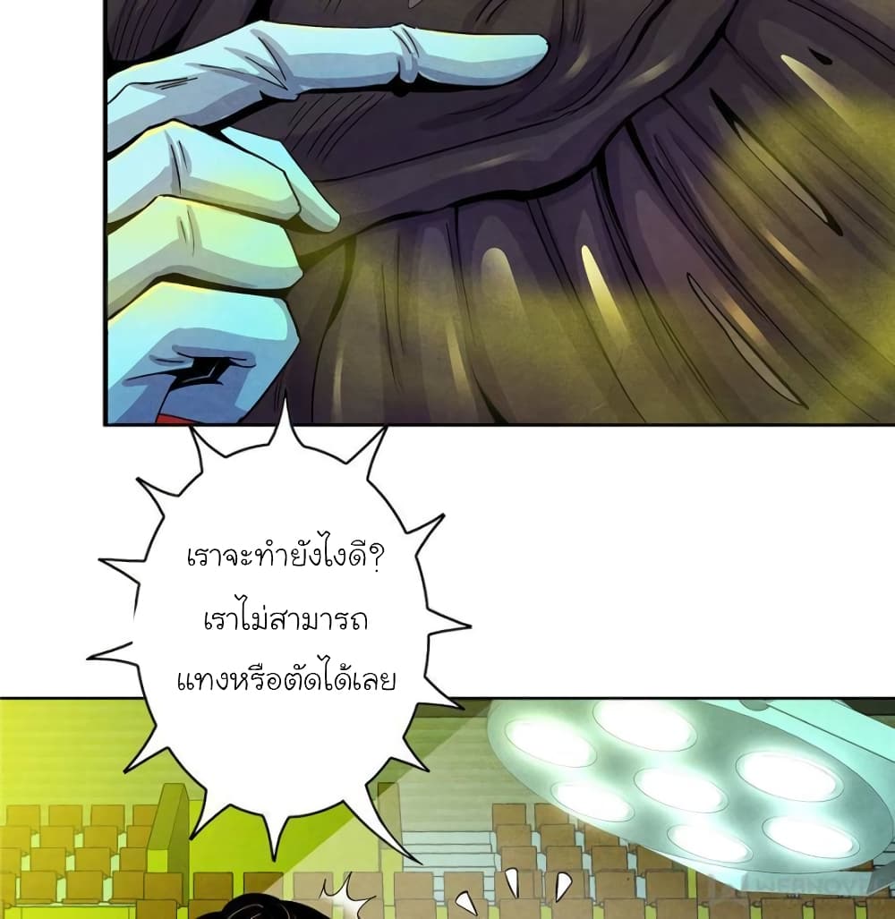 Dr.Don 21-21