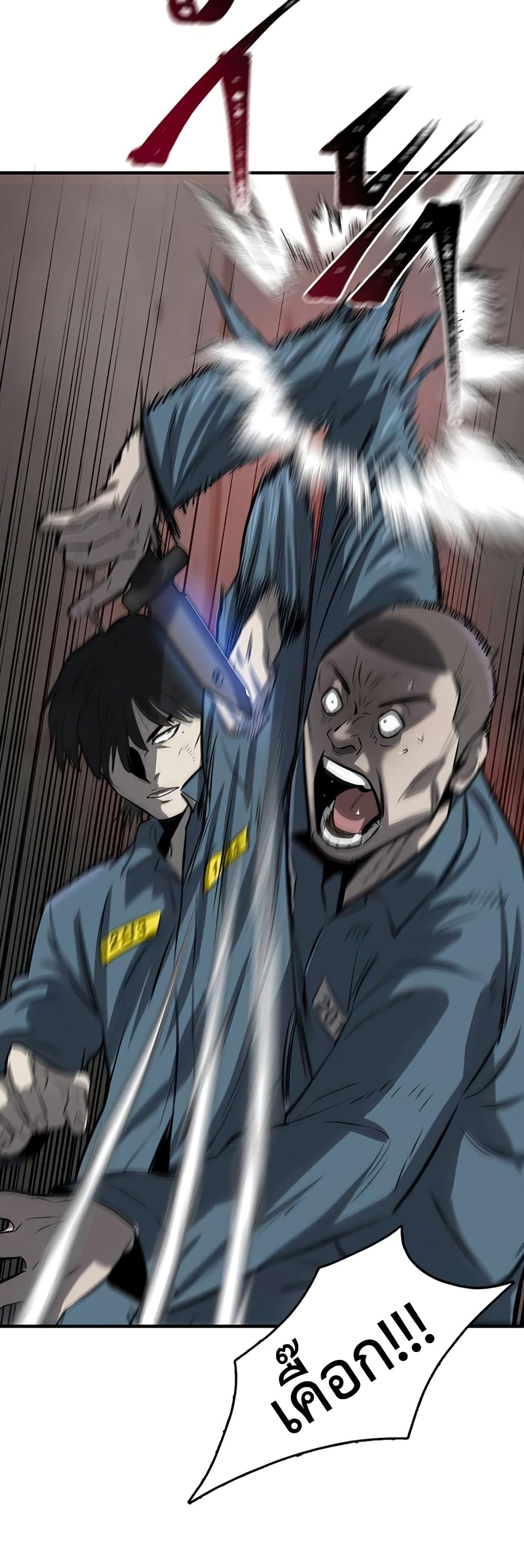 Mujin 3-3