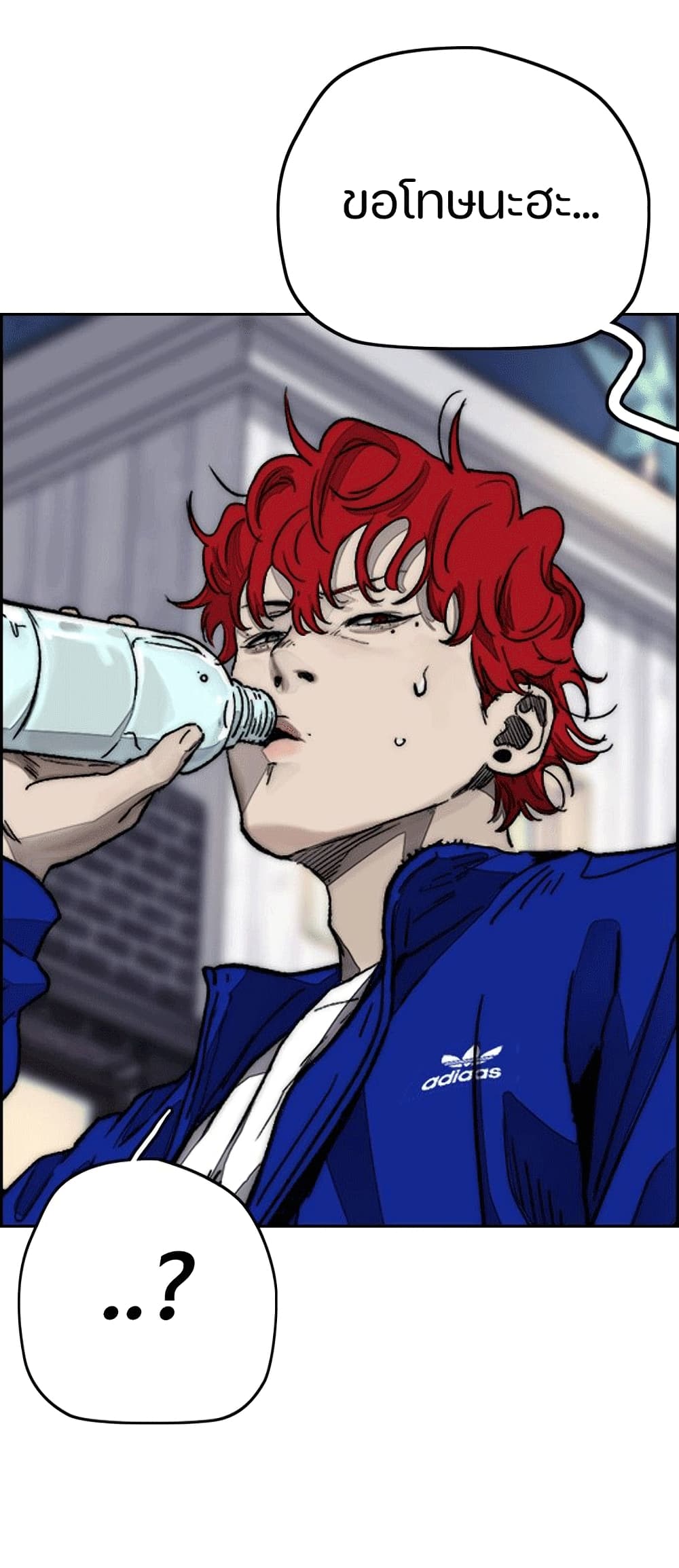 Windbreaker SS4 1-1