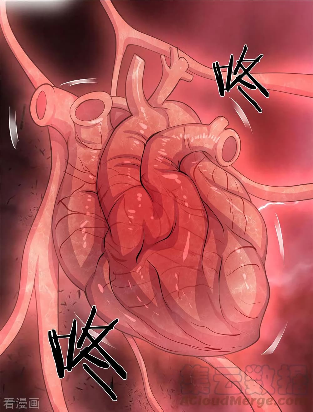 Medical Martial Arts 113-113