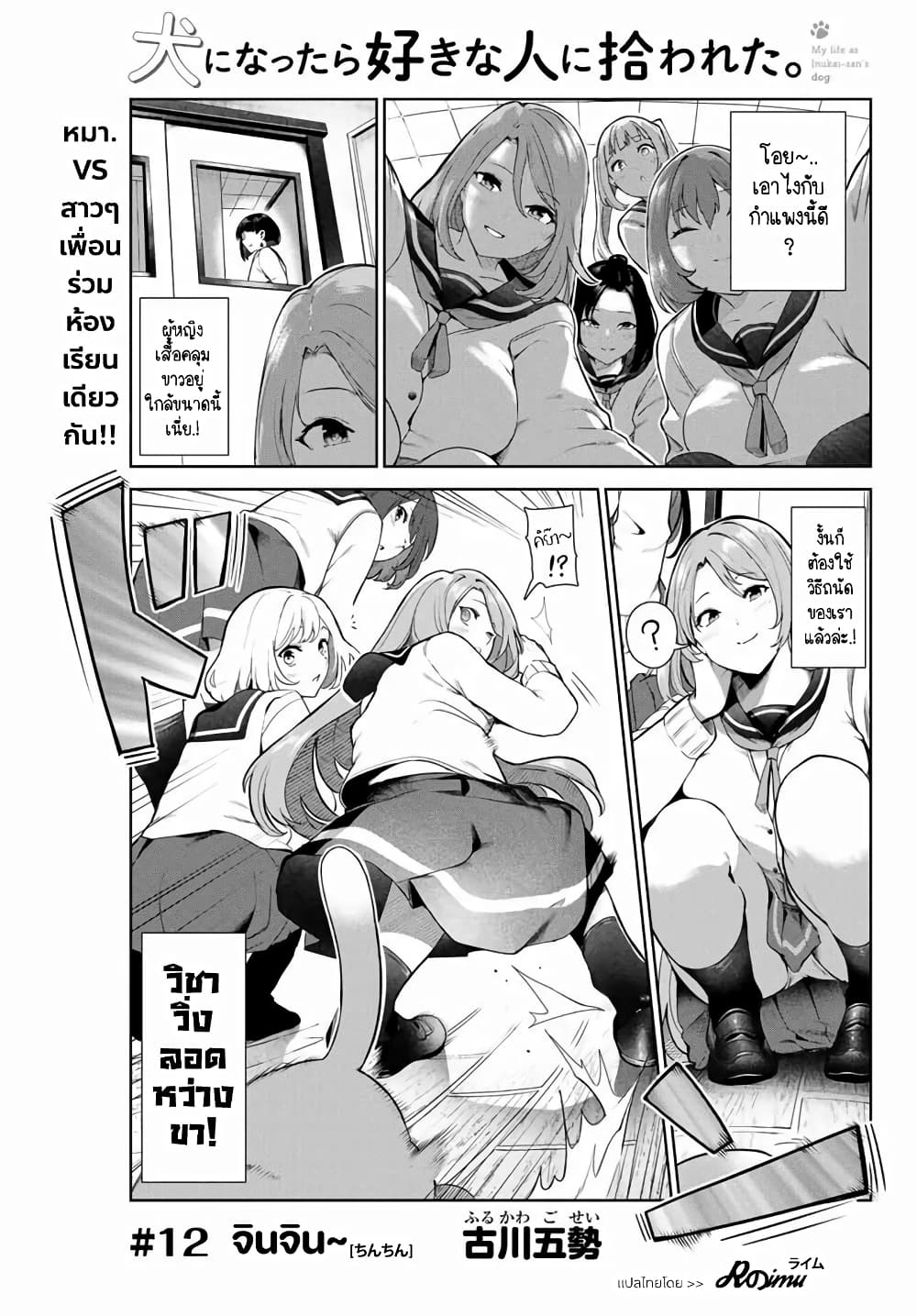Inu ni Nattara Sukina Hito ni Hirowareta 12-จินจิน