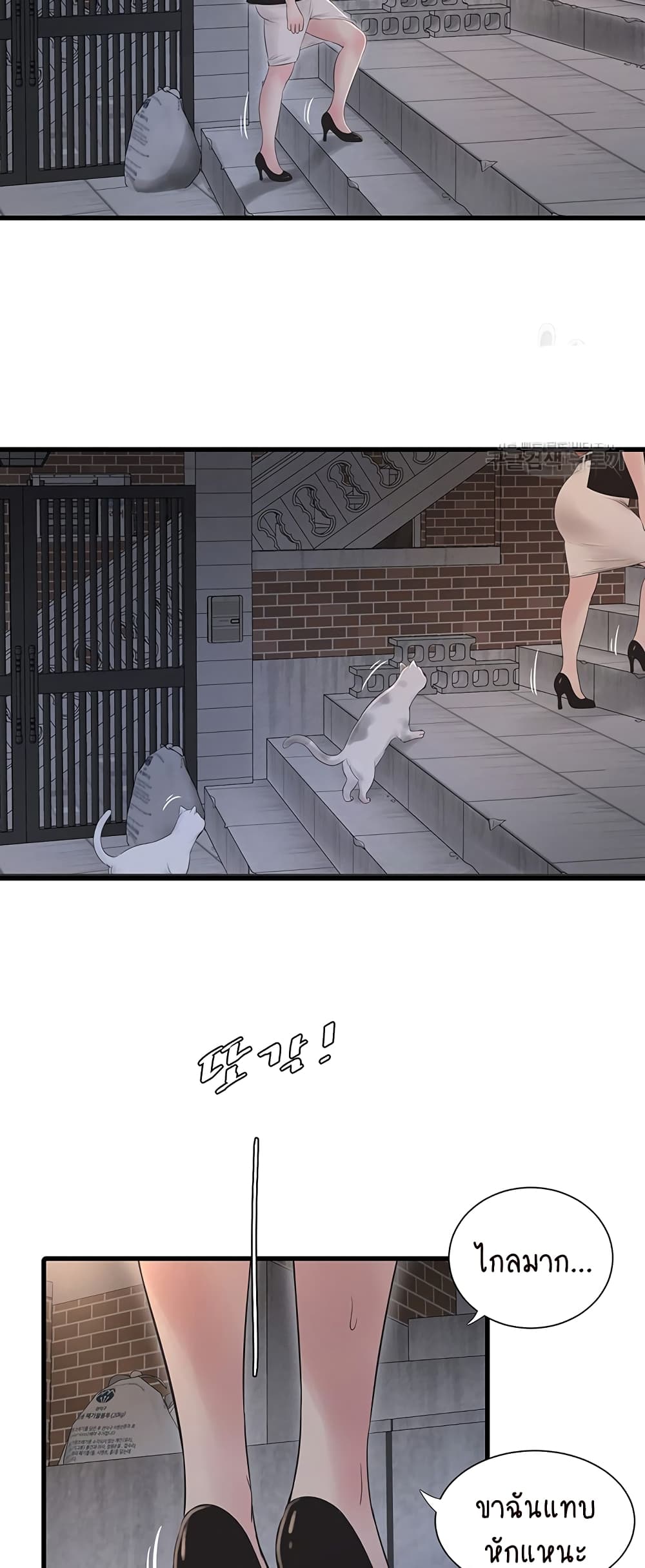 The Hole Diary 13-13