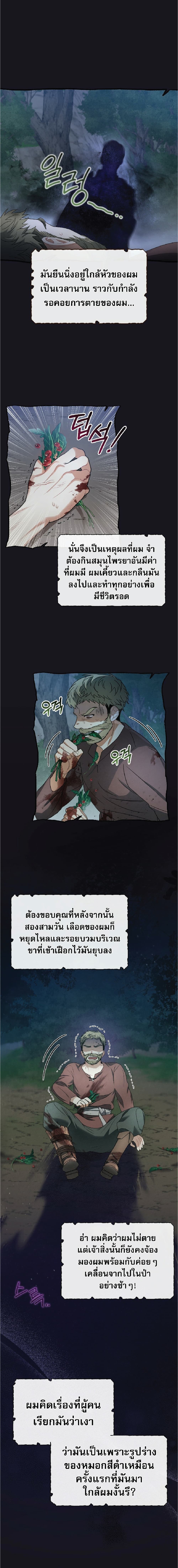 Shadowless Night 3-3