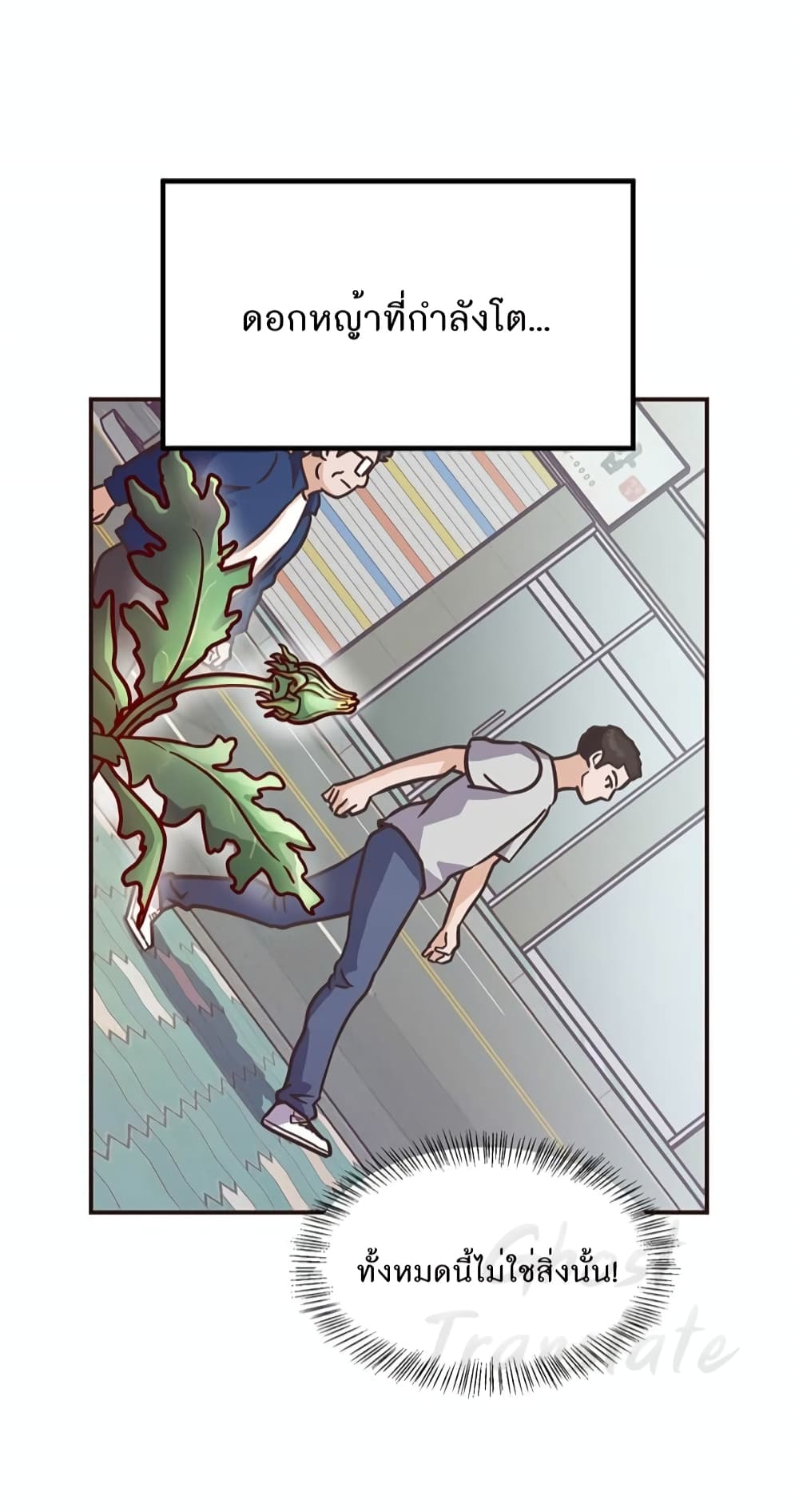 Martial Arts Baker 3-3