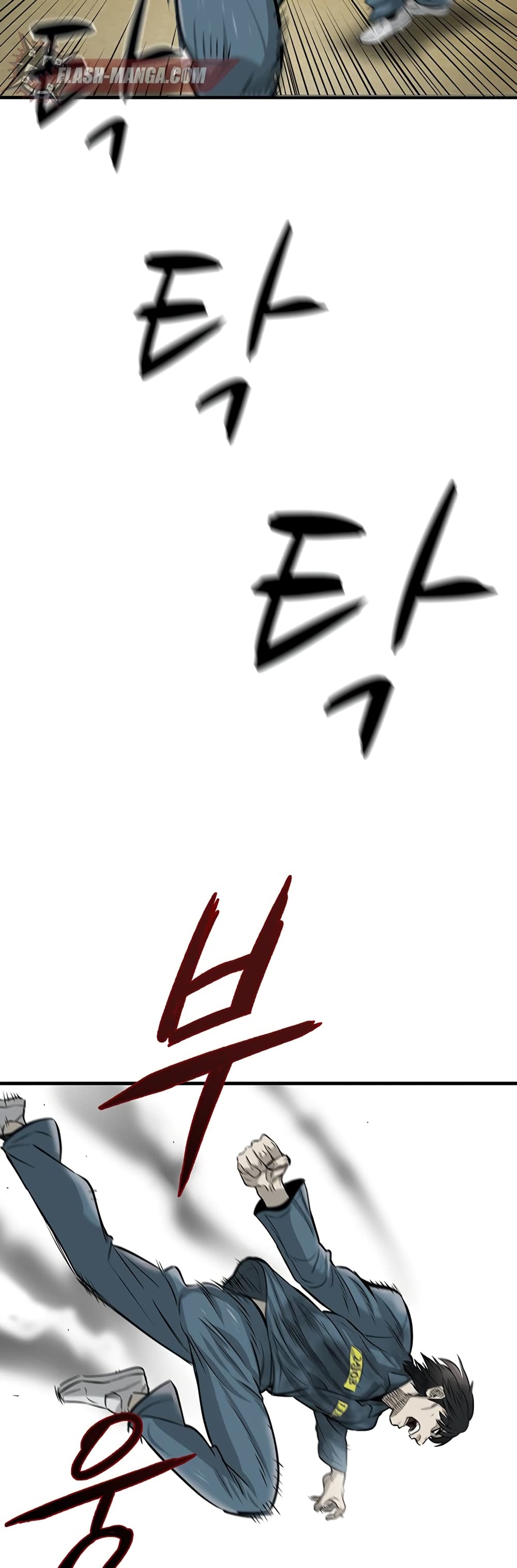 Mujin 1-1