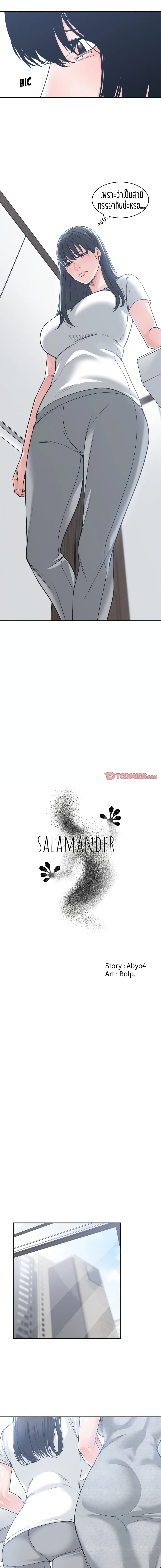 Salamander 17-17