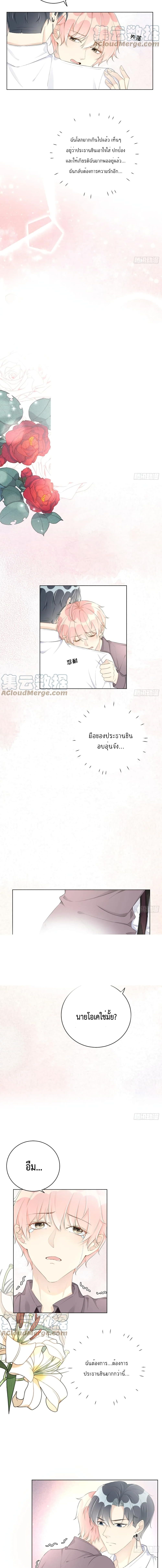 Top Plaything นายคือของเล่นของฉัน เพียงผู้เดียว 31-31