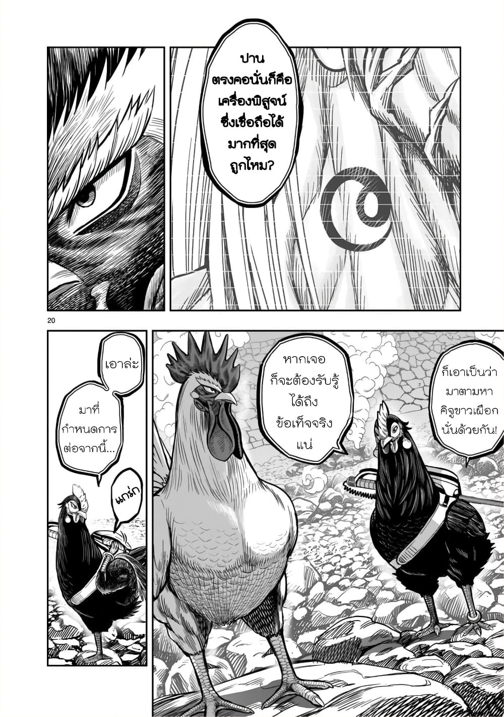 Rooster Fighter ป๋าโต้งชนยับ 8-ยามหมู่ไก่ขับขัน สุคนธชาติโชย (ธรรมชาติแสนสงบตามฤดูกาล)