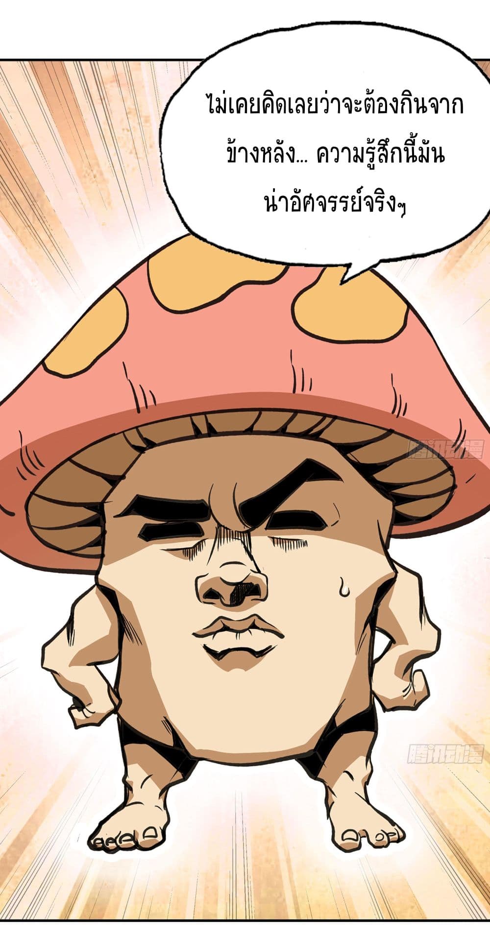 Mushroom Brave 14-14