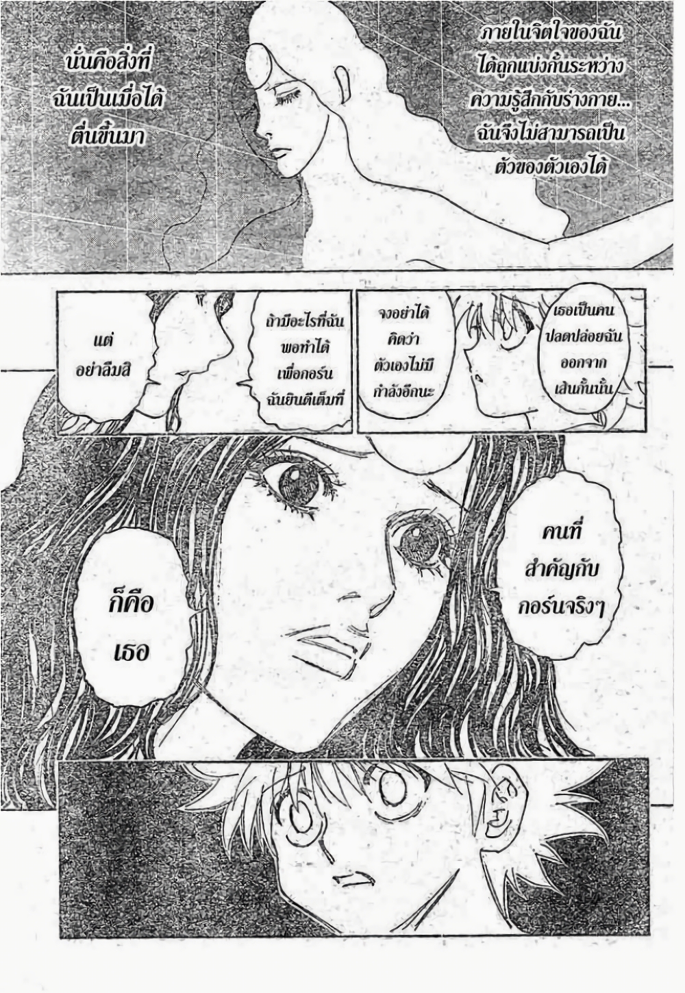 Hunter X Hunter 294-294