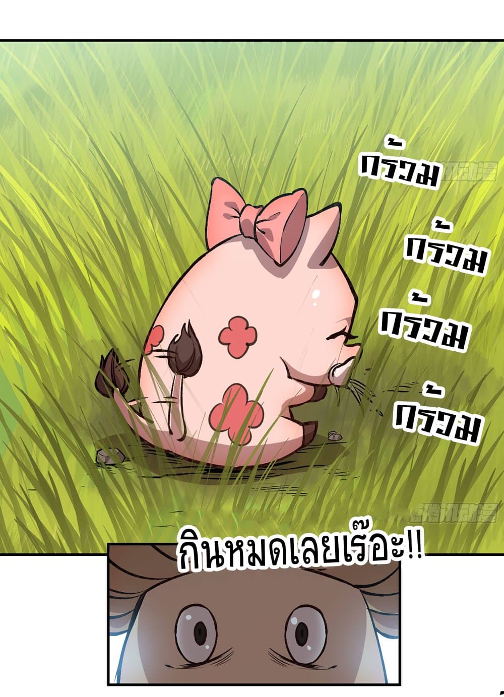 Mushroom Brave 13-13