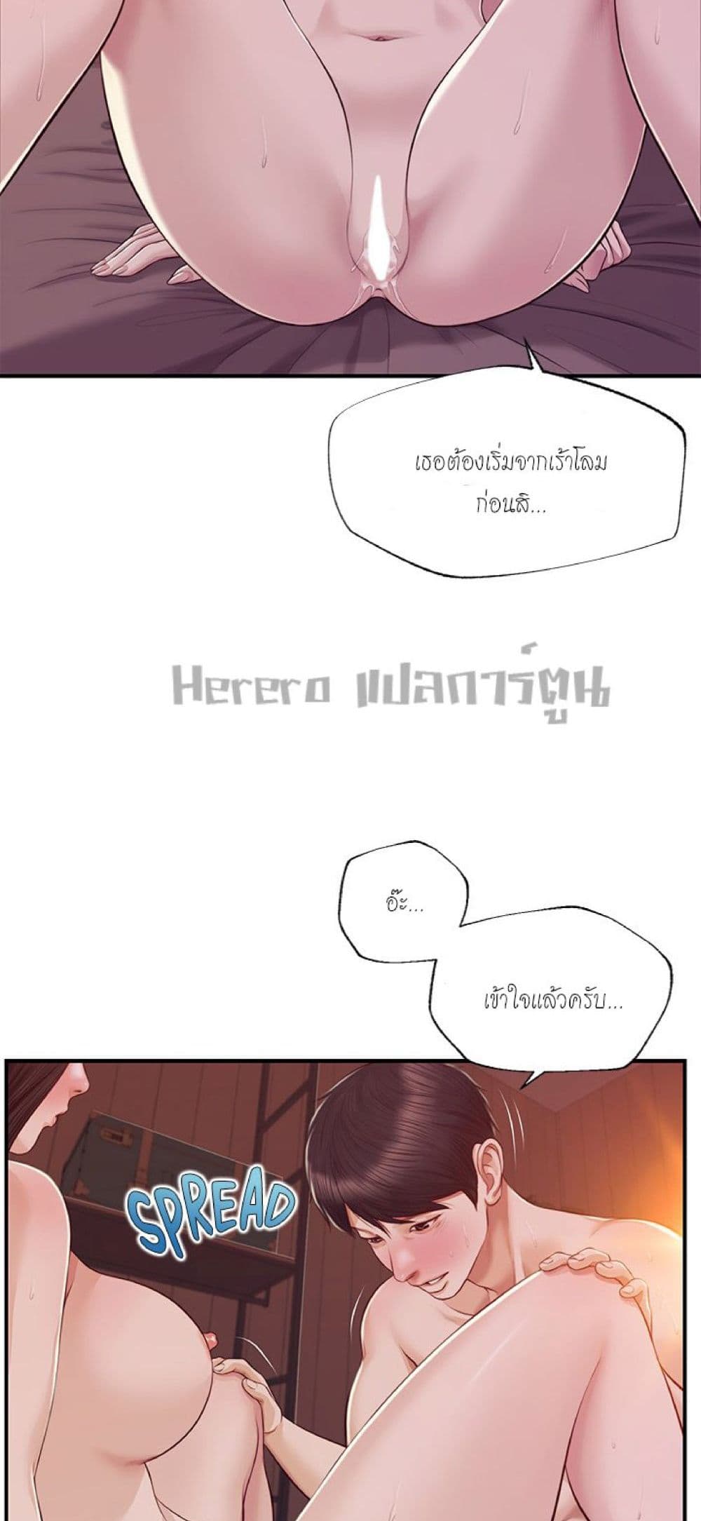 Innocent Age 44-44