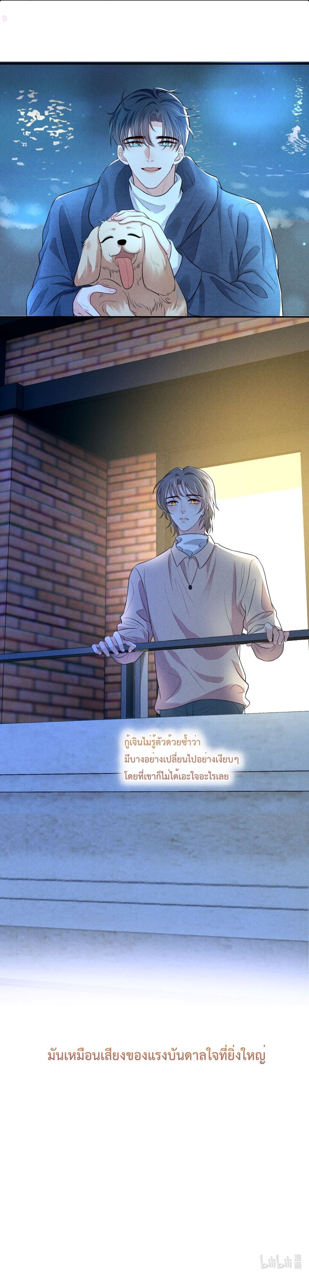Fireworks เพลิงดอกไม้ 7-7