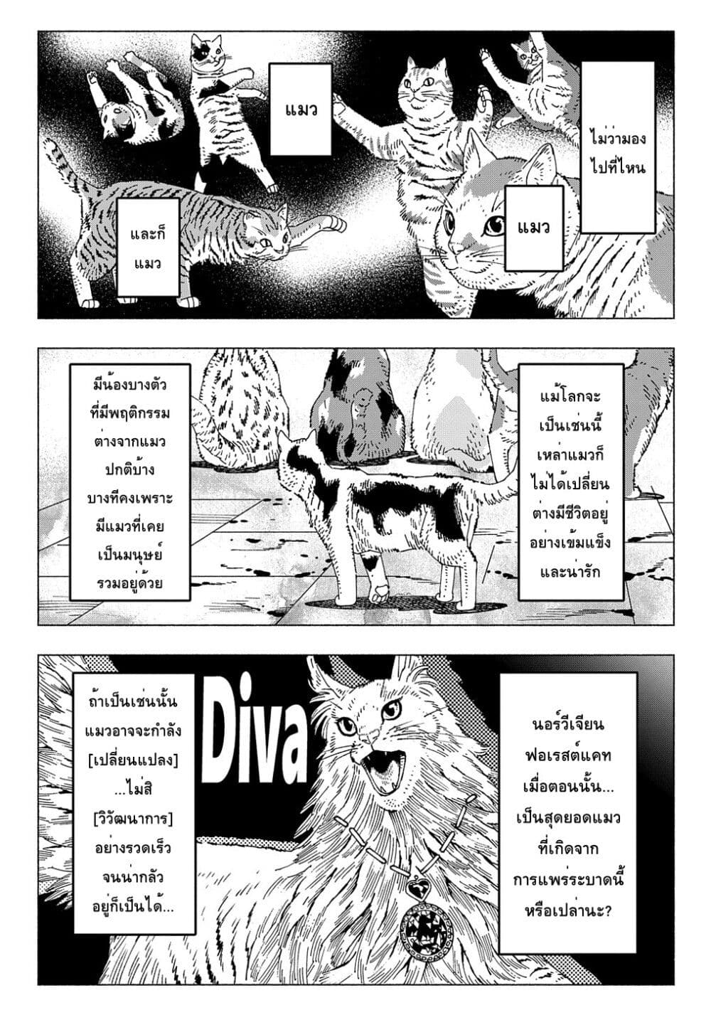 Nyaight of the Living Cat ซอมบี้เหมียวครองโลก! 6.4-แมวคือราชาของโลกที่ไร้เมตตา (ภาคปลาย[2])
