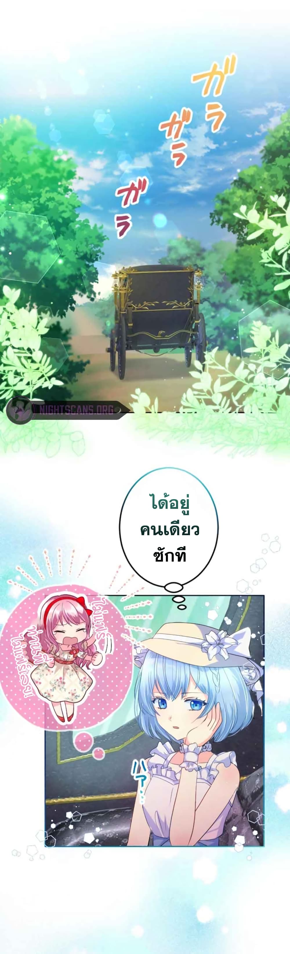 The Precious Girl Does Not Shed Tears 11-11