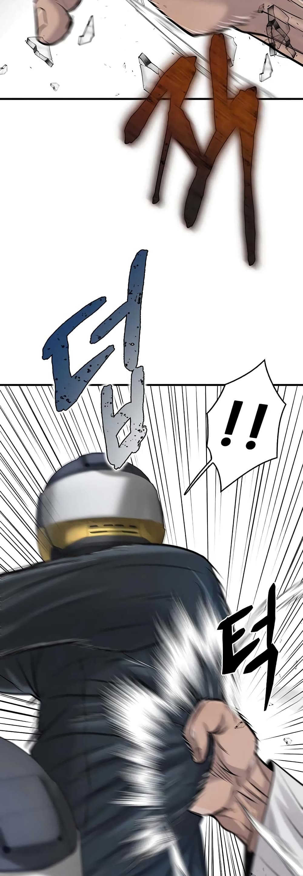 Mujin 17-17