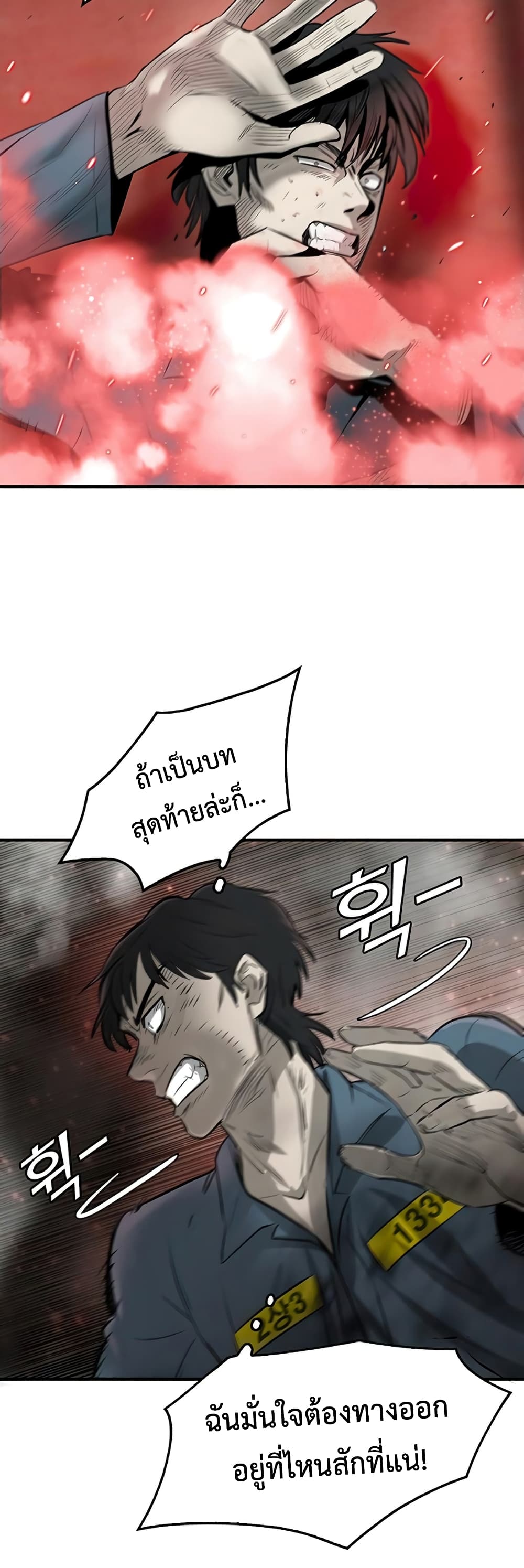 Mujin 3-3