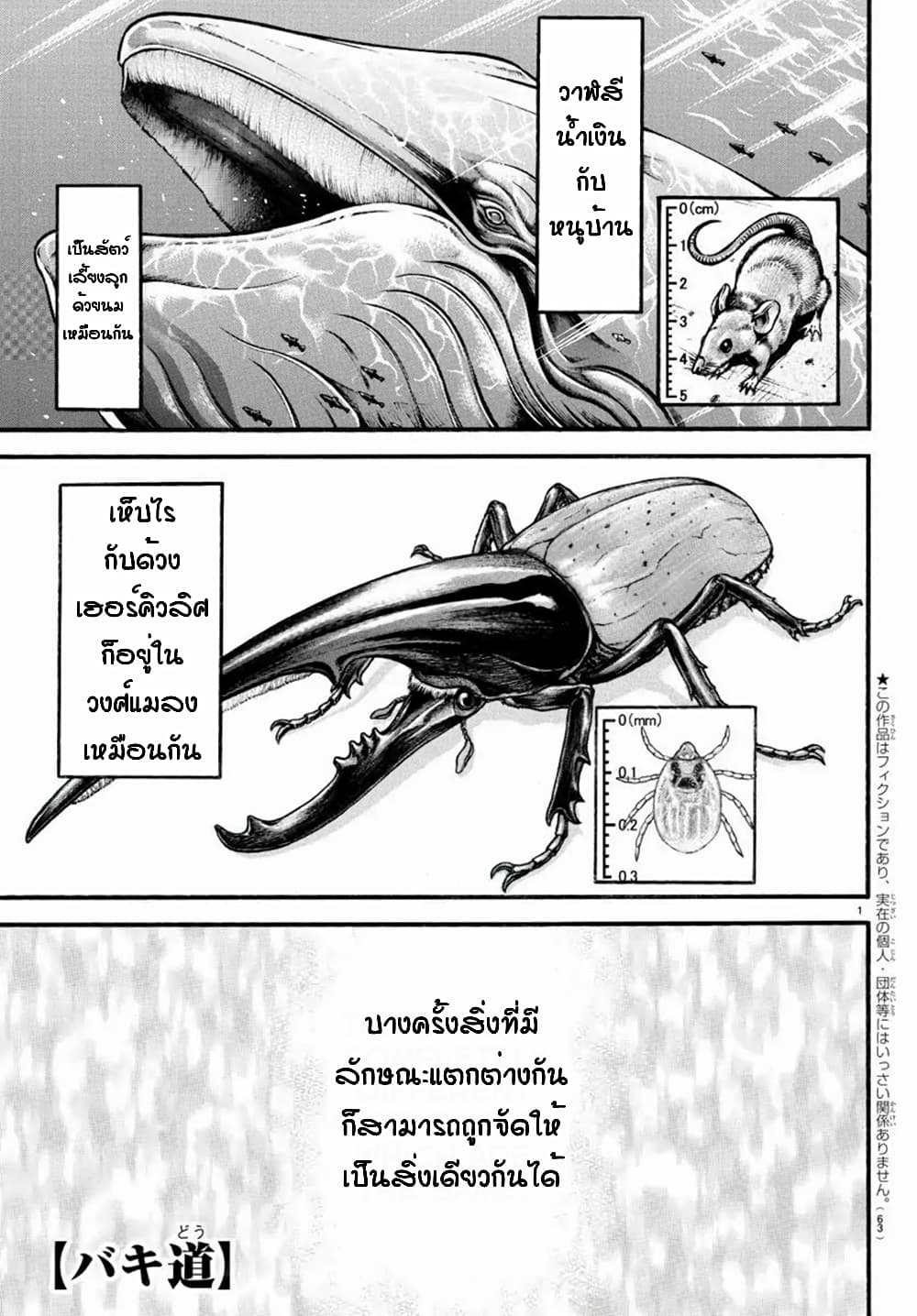 Baki Dou II 17-17