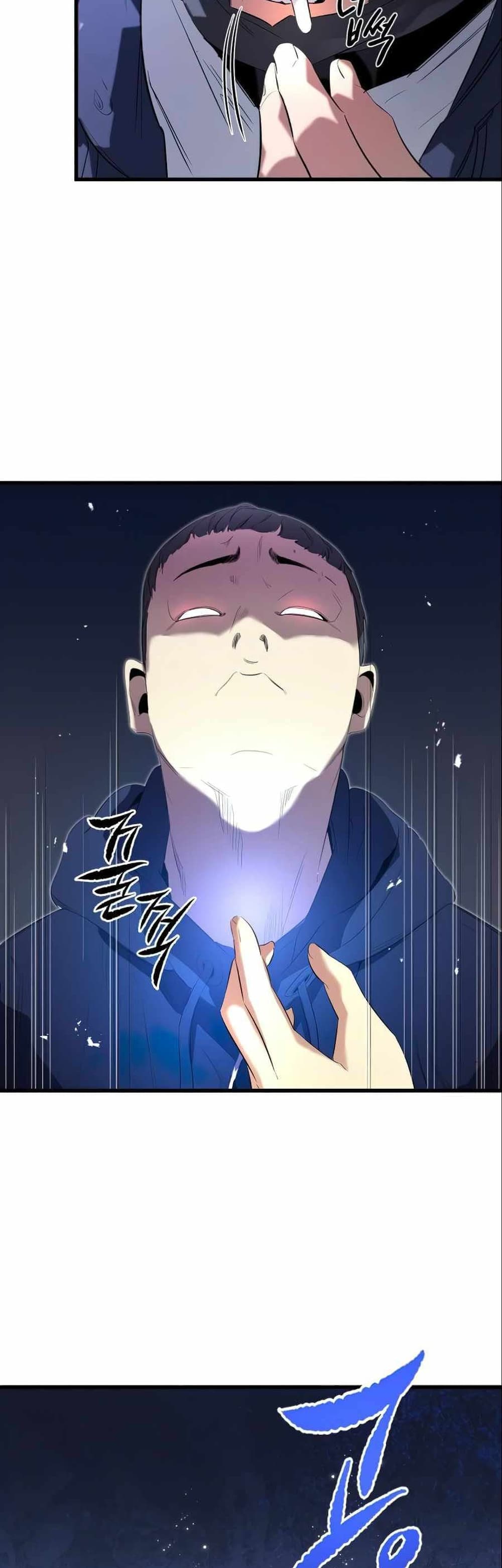 Phantom Spirit King 13-13
