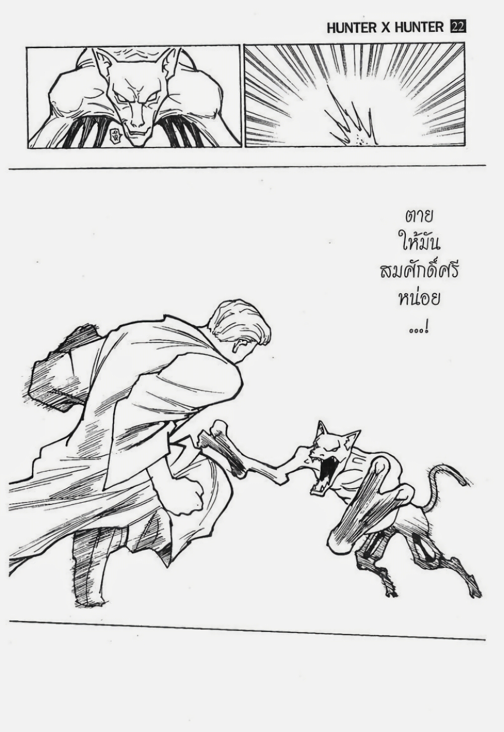 Hunter X Hunter 229-229