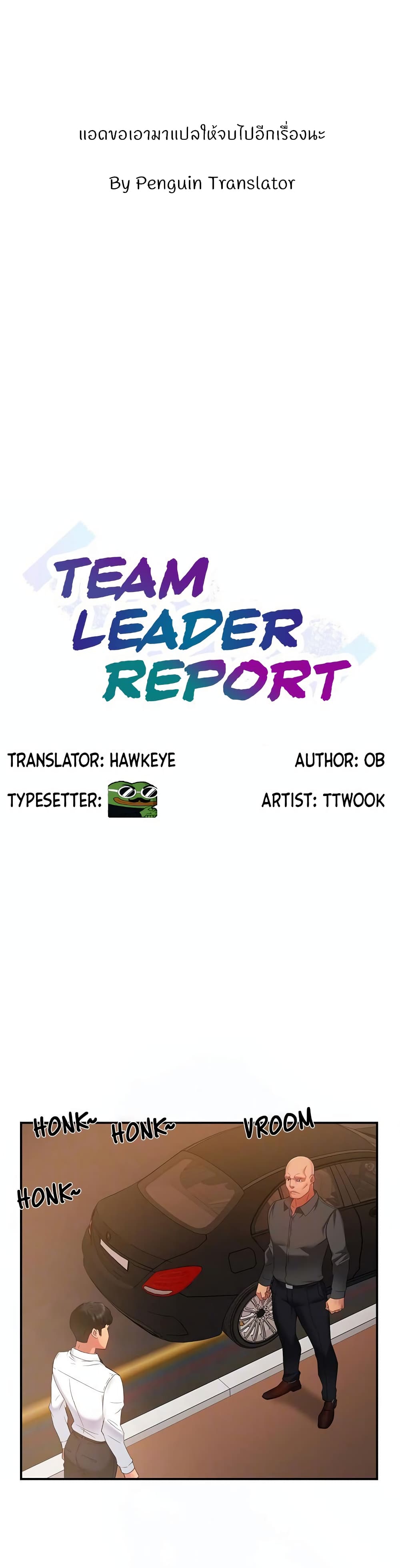 Team Leader, This is A Report 5-5