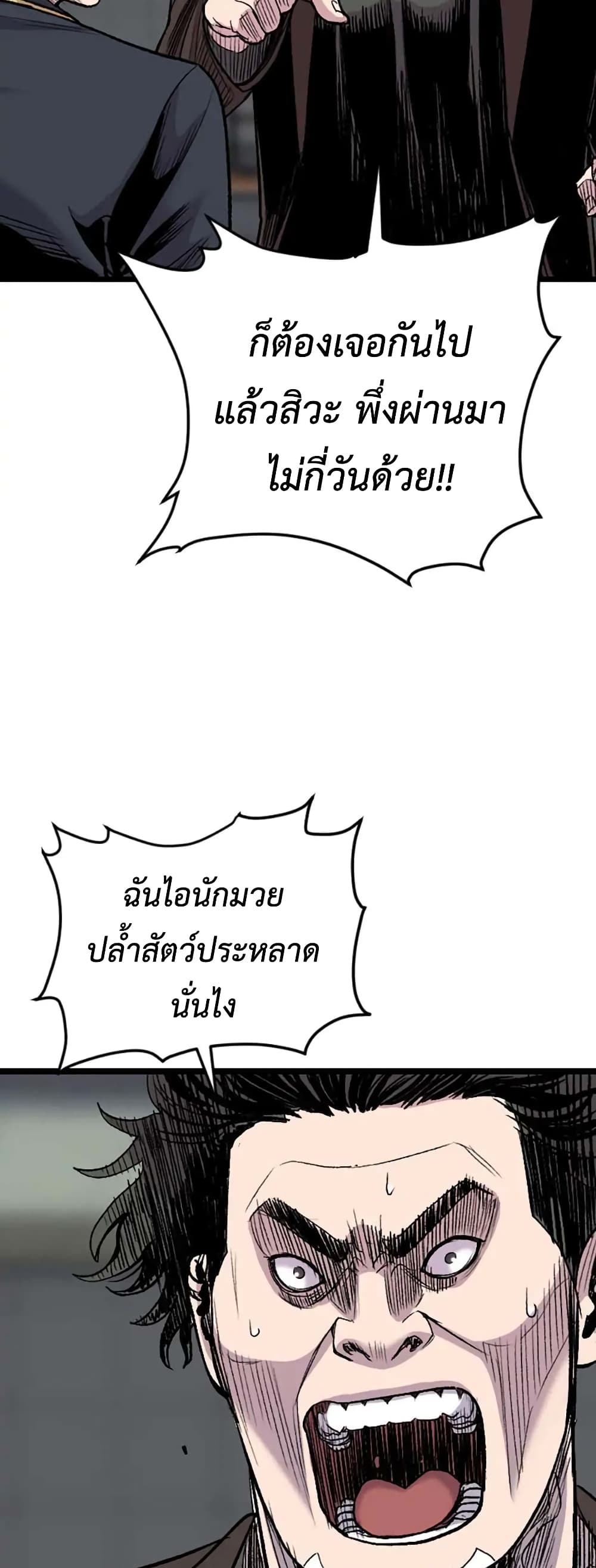 Switch 19-19