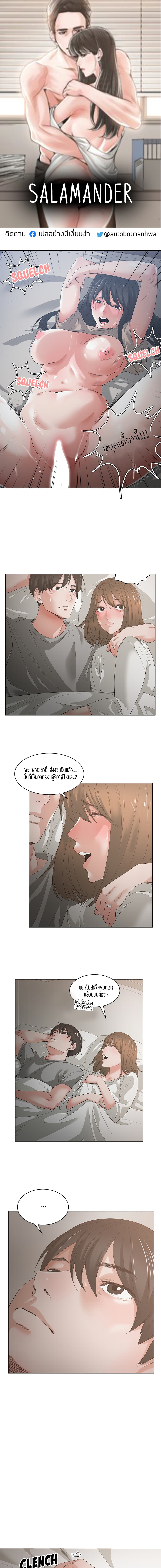 Salamander 2-2