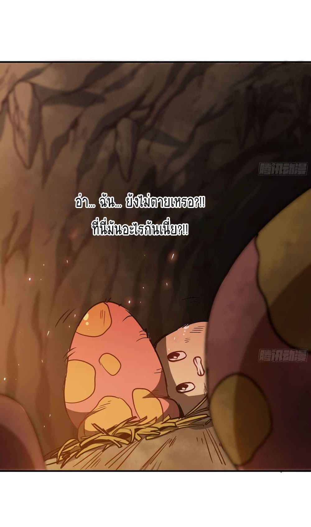 Mushroom Brave 9-9