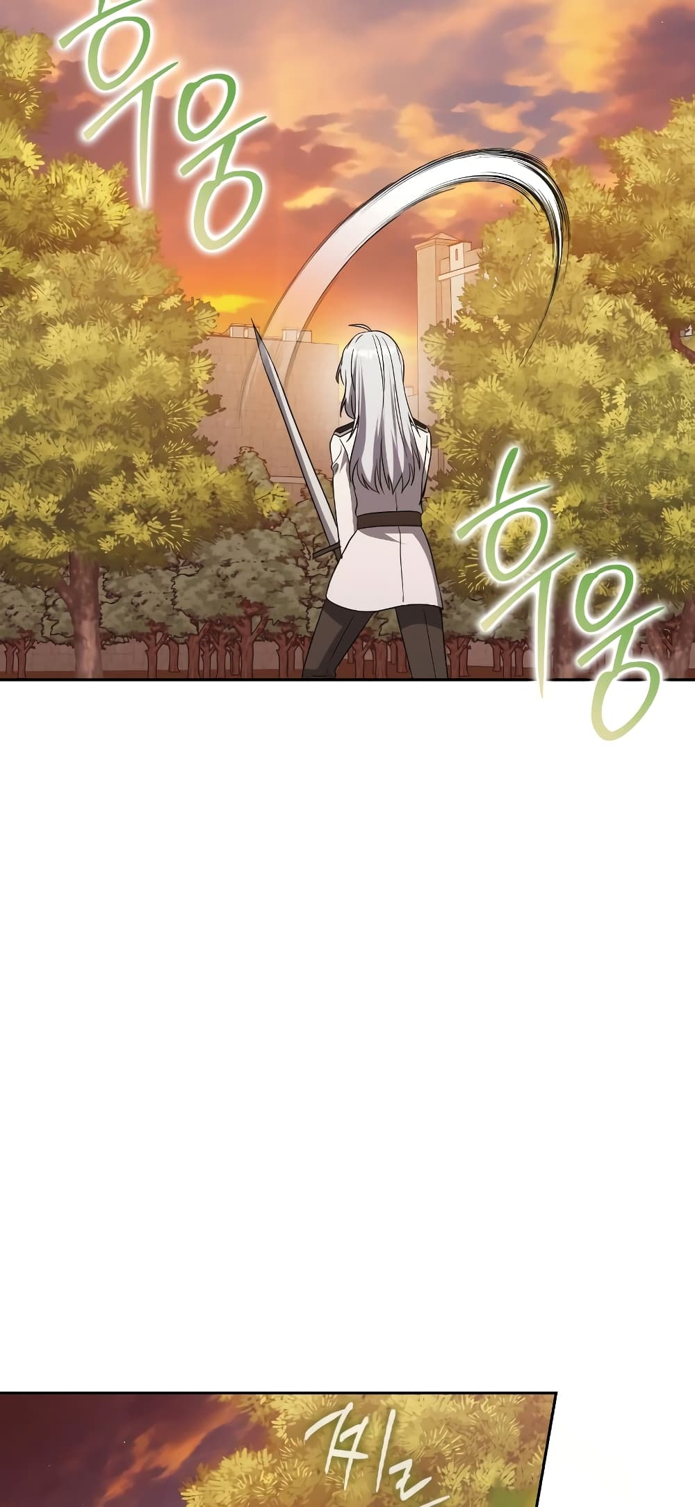 The Reincarnated Assassin is a Genius Swordsman 30-30