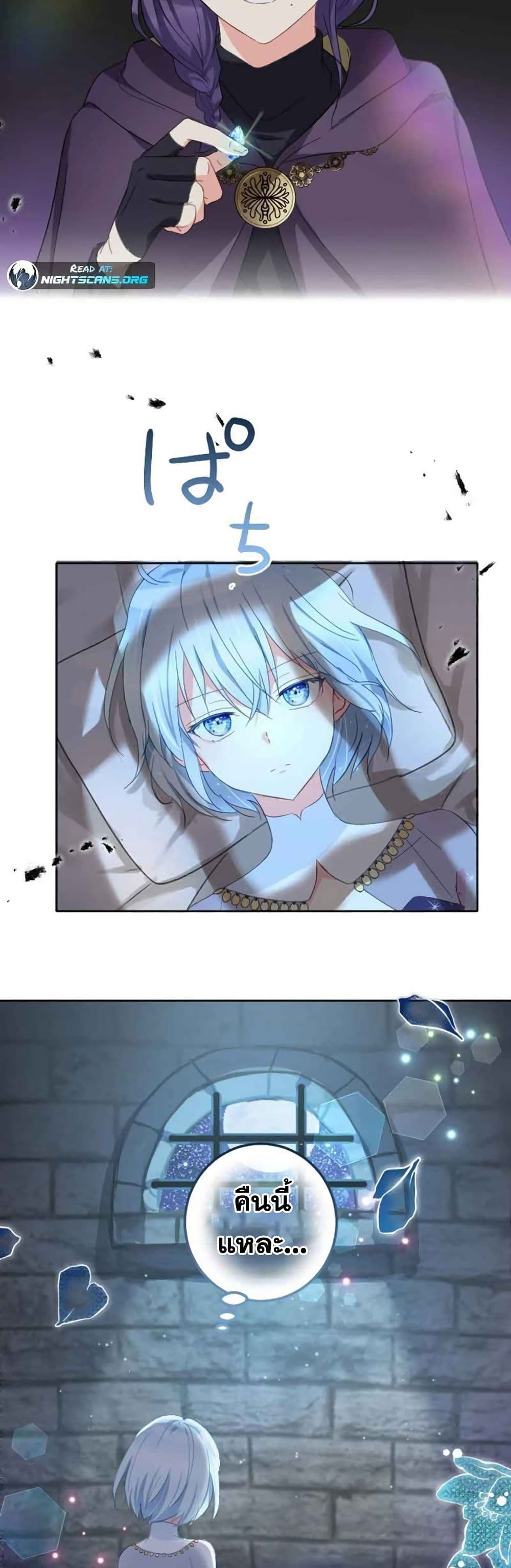 The Precious Girl Does Not Shed Tears 8-8
