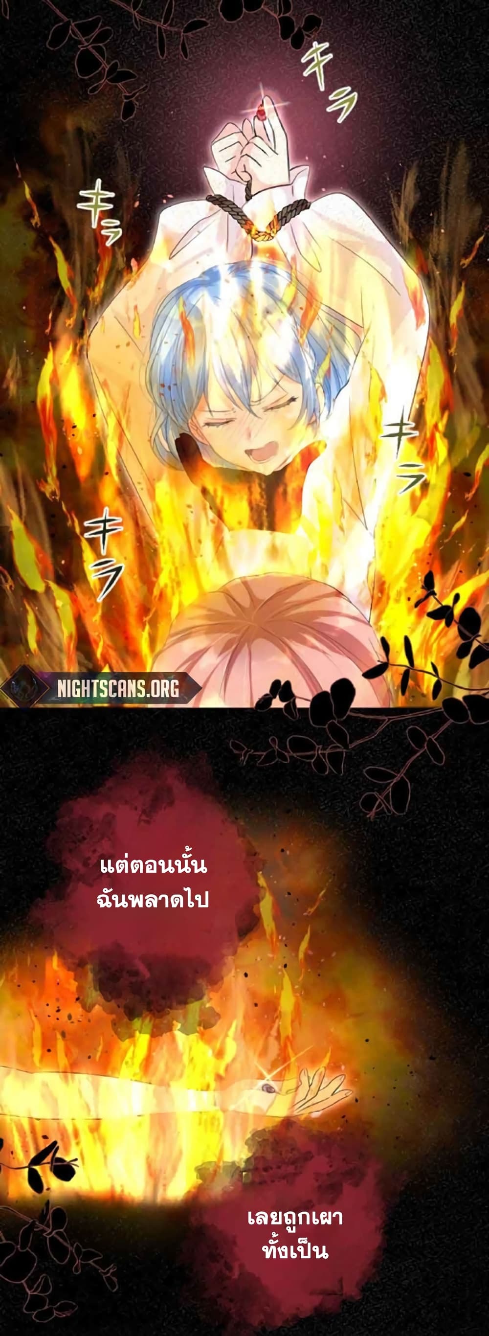 The Precious Girl Does Not Shed Tears 17-17