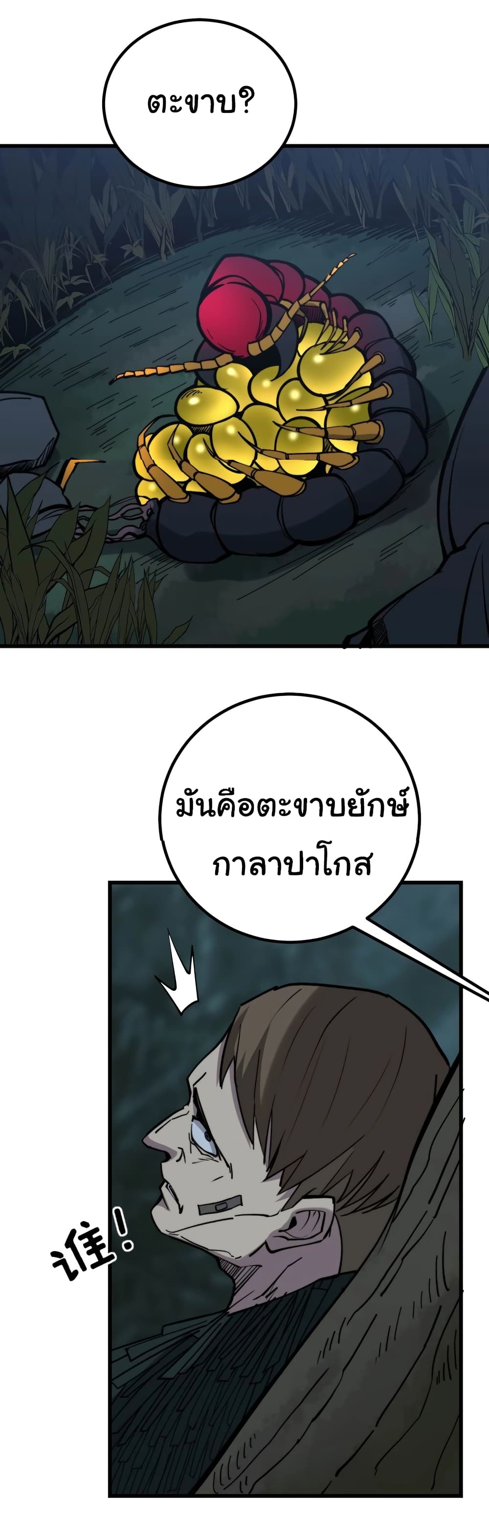 Bad Hand Witch Doctor 243-243
